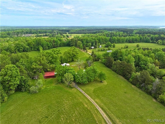 10217 Bill Tuck Hwy, Virgilina, VA 24598 - photo 2