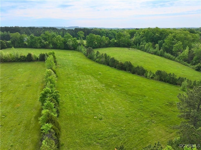 10217 Bill Tuck Hwy, Virgilina, VA 24598 - photo 46