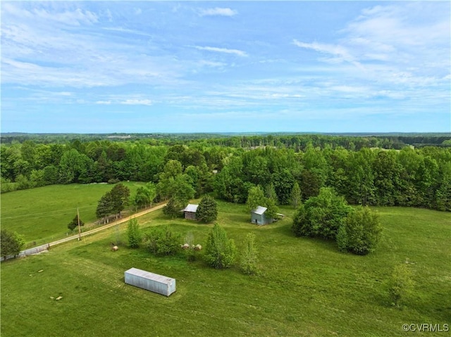 10217 Bill Tuck Hwy, Virgilina, VA 24598 - photo 47