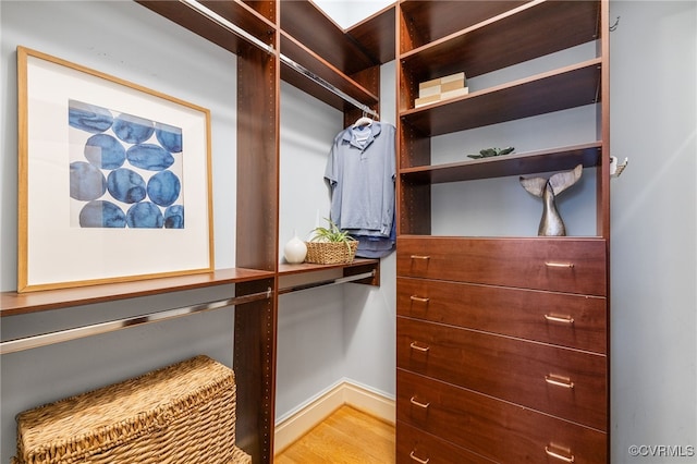 spacious closet with hardwood / wood-style floors