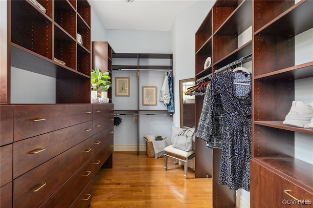 walk in closet with hardwood / wood-style floors