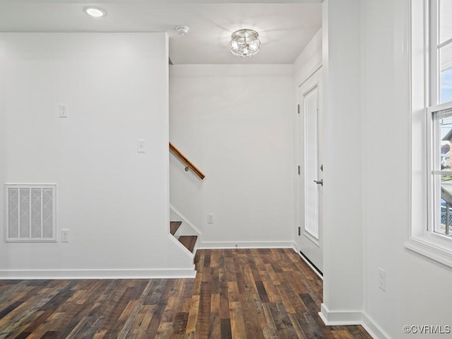 foyer entrance featuring a healthy amount of sunlight and dark wood-type flooring