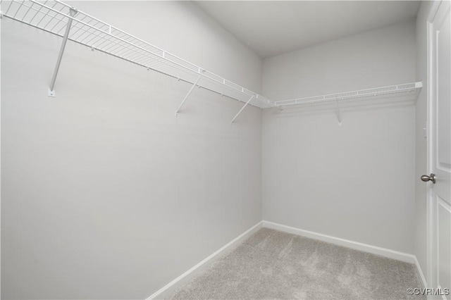 walk in closet featuring light colored carpet