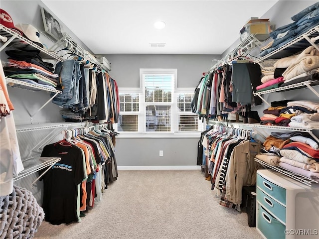 walk in closet with light carpet