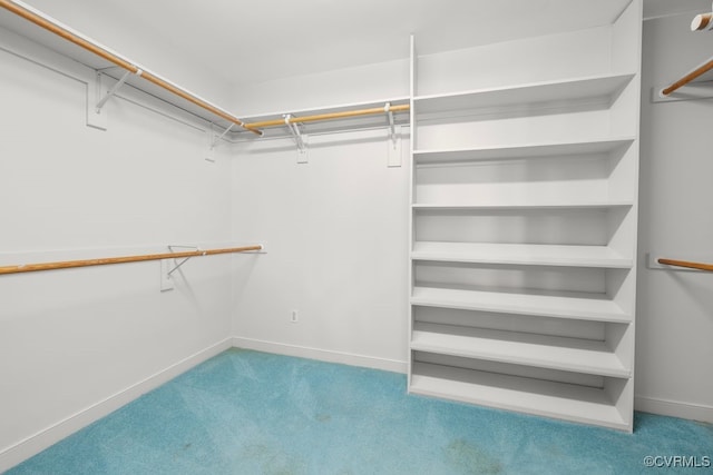 walk in closet with light carpet