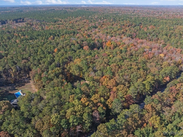 bird's eye view