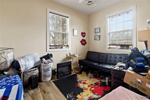 living room featuring wood-type flooring