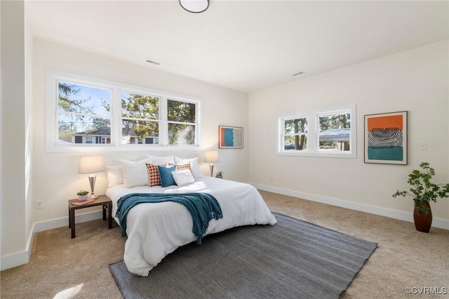 bedroom with carpet flooring