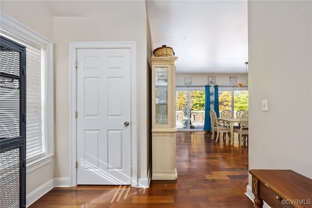 foyer with dark hardwood / wood-style flooring