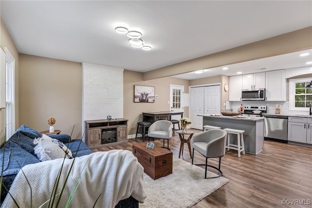 living room with wood-type flooring