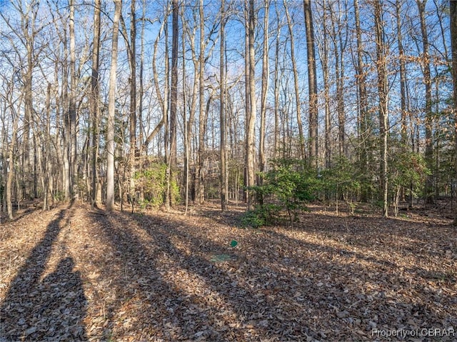 Listing photo 2 for 2.5AC Botetourt Ave, Gloucester VA 23061