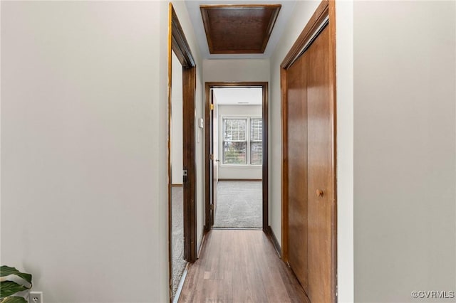 corridor featuring light hardwood / wood-style flooring