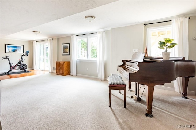 living area featuring light carpet