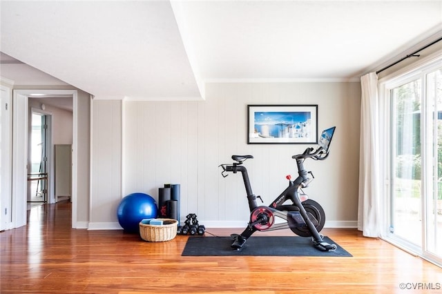 exercise area with hardwood / wood-style floors and crown molding