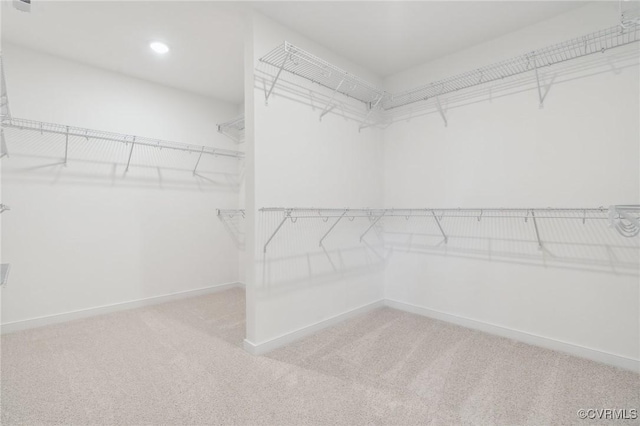 spacious closet featuring light carpet