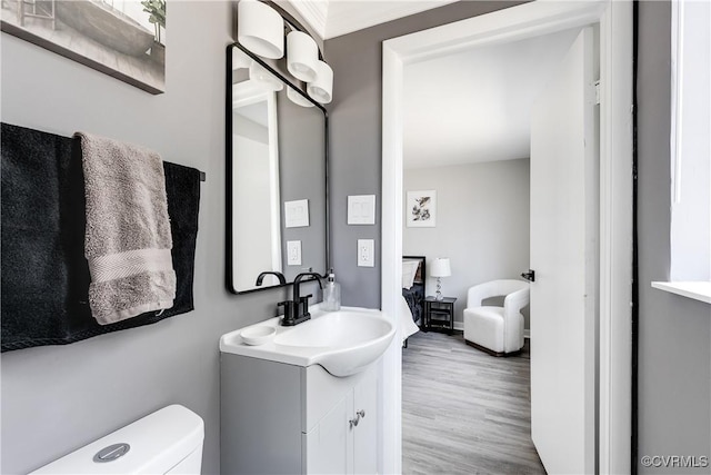 bathroom with vanity, wood-type flooring, and toilet