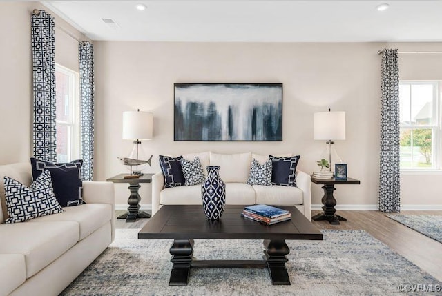 living room featuring hardwood / wood-style flooring