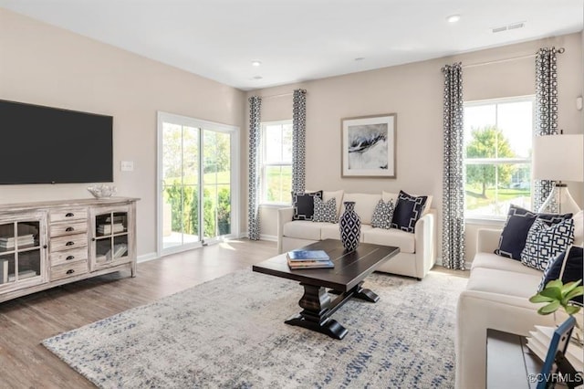 living room featuring hardwood / wood-style flooring