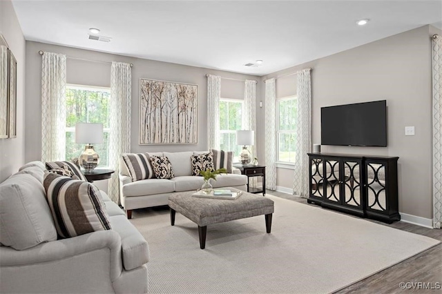 living room with hardwood / wood-style flooring