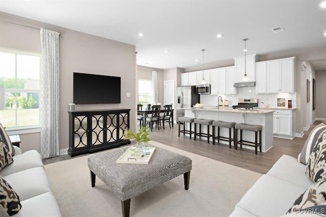 living room with dark hardwood / wood-style floors and sink