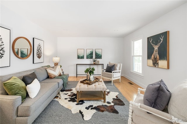 living room featuring light hardwood / wood-style flooring