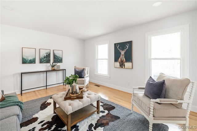 living room featuring wood-type flooring