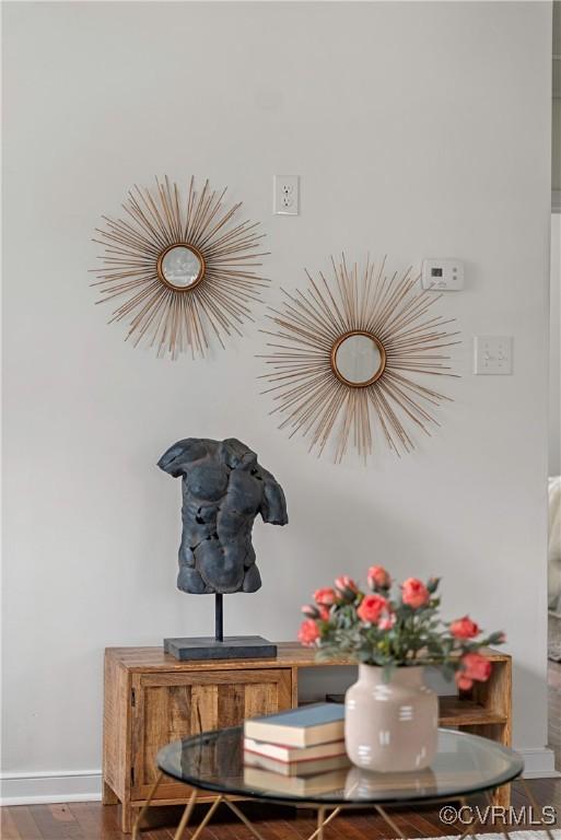 room details featuring hardwood / wood-style flooring