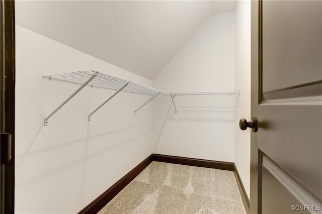 spacious closet featuring lofted ceiling and carpet floors