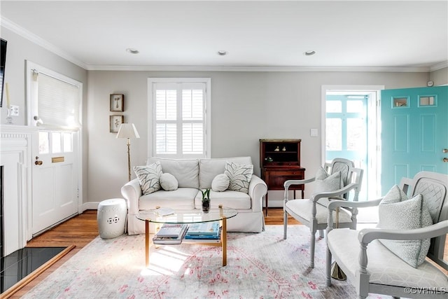 living room with wood-type flooring and crown molding