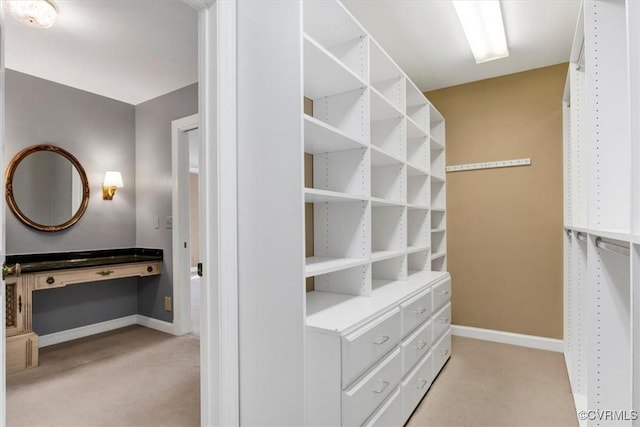 walk in closet with light colored carpet