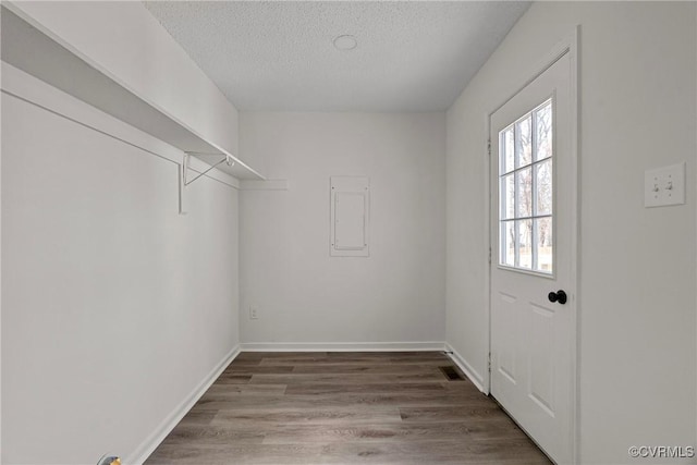 walk in closet with hardwood / wood-style flooring and electric panel