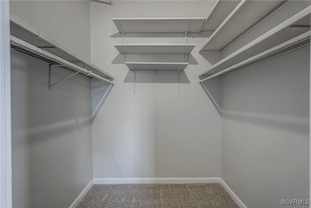 spacious closet with carpet