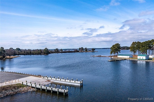 dock area with a water view