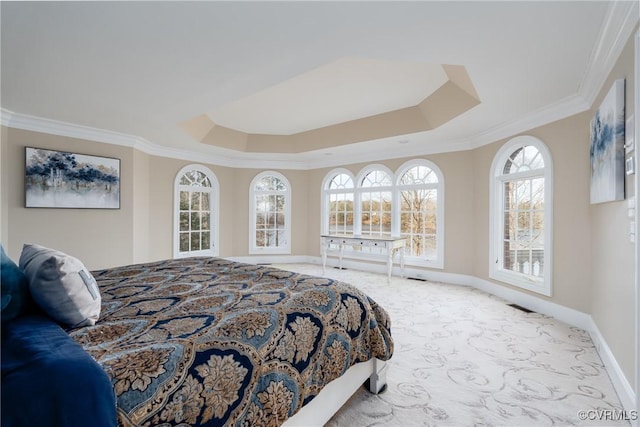 carpeted bedroom featuring crown molding and a raised ceiling