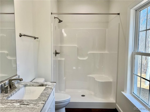 423 Bradshaw Rd, Rice, VA 23966 - full bath with toilet, vanity, and walk in shower