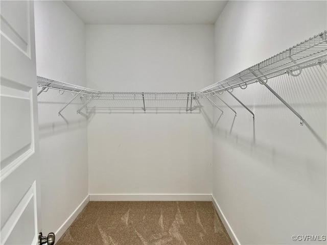 423 Bradshaw Rd, Rice, VA 23966 - spacious closet featuring carpet flooring