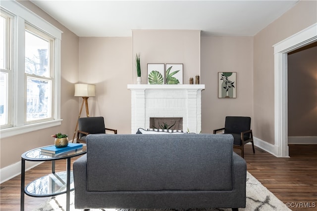 living room featuring dark wood-type flooring and a fireplace