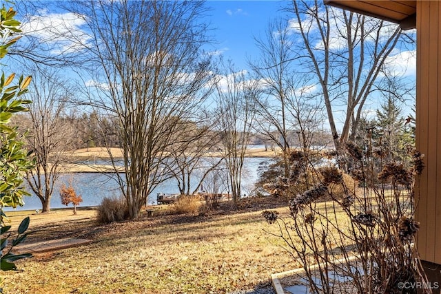 view of water feature