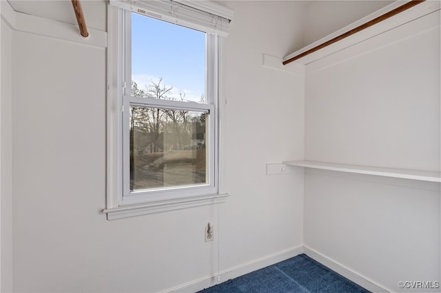 spacious closet featuring carpet floors