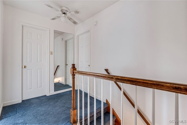 staircase with carpet floors