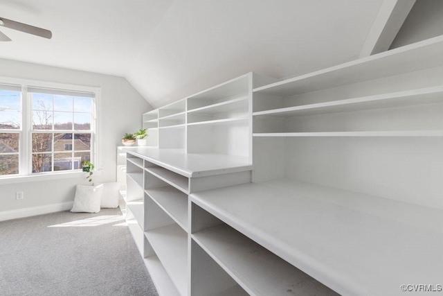 spacious closet with lofted ceiling, carpet floors, and ceiling fan