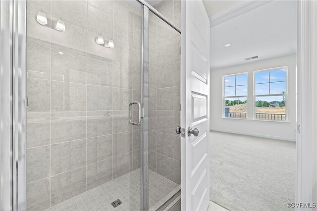 3817 Maze Runner Dr, Midlothian, VA 23112 - bathroom with an enclosed shower