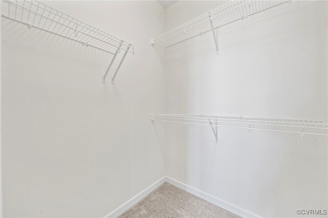 3817 Maze Runner Dr, Midlothian, VA 23112 - walk in closet featuring carpet floors