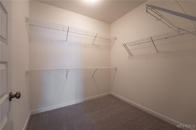 spacious closet featuring dark carpet