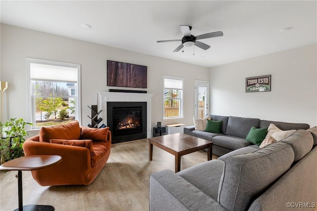 living room with ceiling fan, a healthy amount of sunlight, and light wood-type flooring