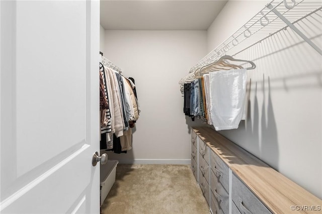 spacious closet featuring light colored carpet