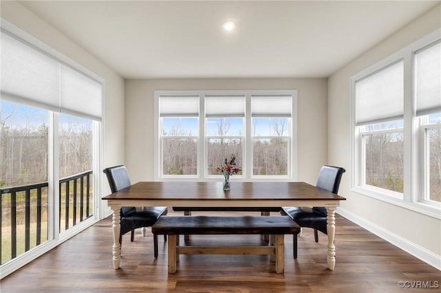 dining room with a wealth of natural light and dark hardwood / wood-style floors