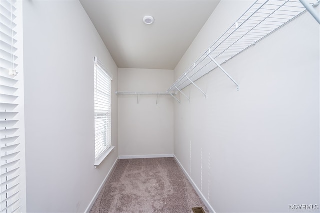 spacious closet with light colored carpet