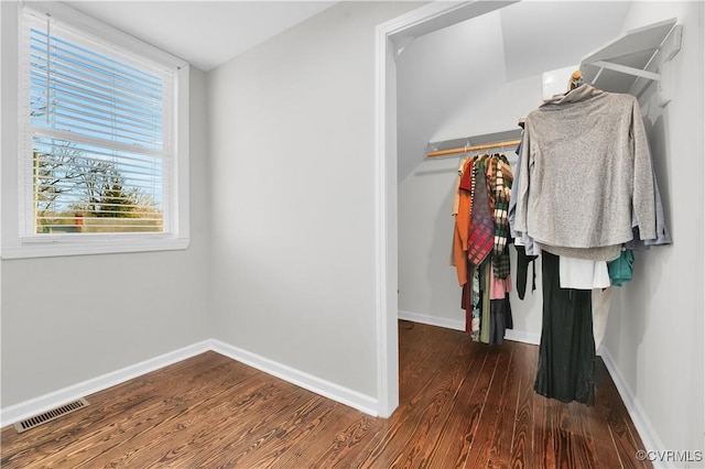 spacious closet featuring dark hardwood / wood-style floors