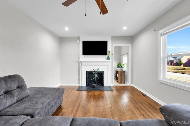 living room featuring hardwood / wood-style flooring and ceiling fan